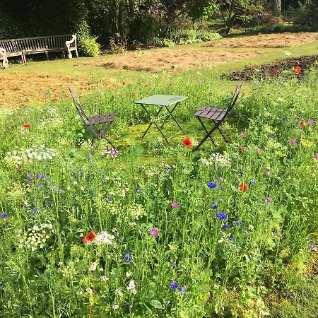 Chateau D'harcelaines