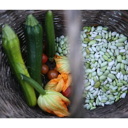 Holiday home Chateau D'harcelaines Maisnieres