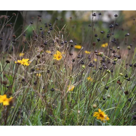 Chateau D'harcelaines