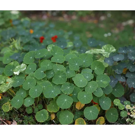 Chateau D'harcelaines Holiday home Maisnieres