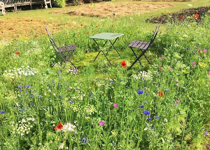 Chateau D'harcelaines