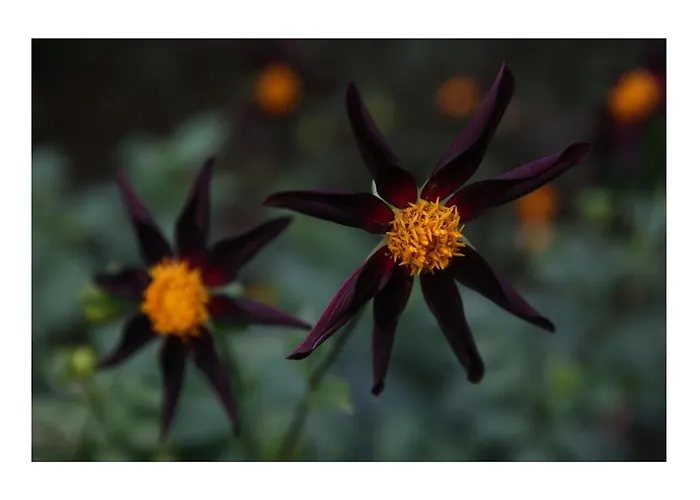 Chateau D'harcelaines Holiday home *