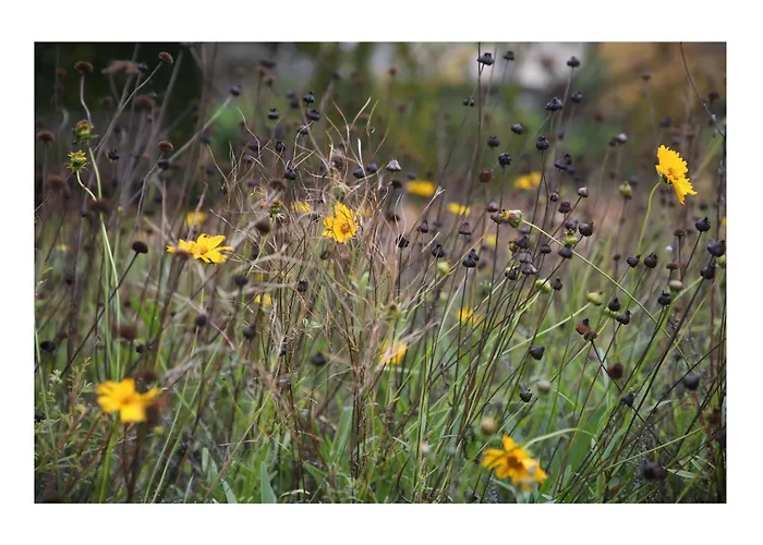 Chateau D'harcelaines