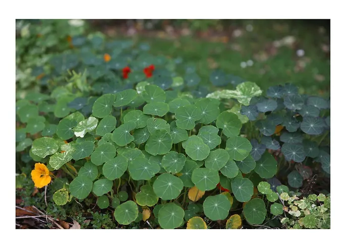 Chateau D'harcelaines Holiday home Maisnieres